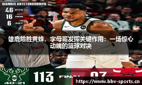 雄鹿险胜黄蜂，字母哥发挥关键作用：一场惊心动魄的篮球对决