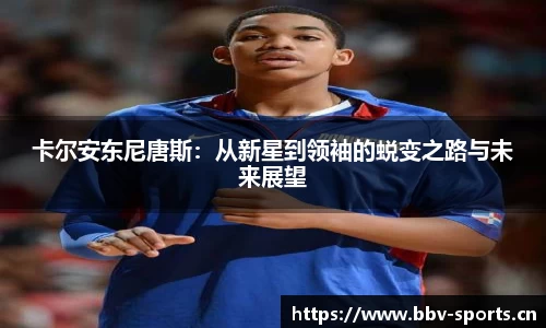 bbv体育官网