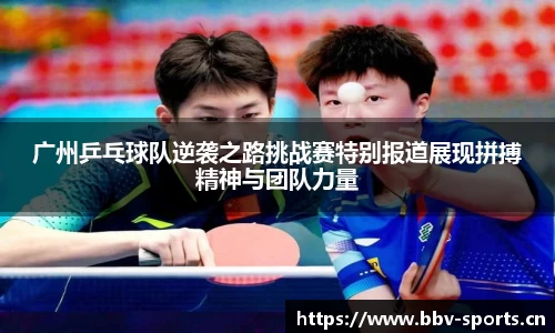 bbv体育